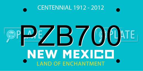 PZB700 New Mexico License Plate