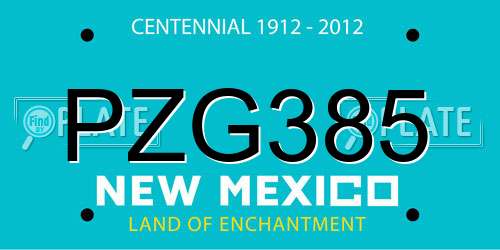 PZG385 New Mexico License Plate