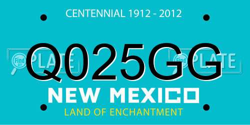 Q025GG New Mexico License Plate