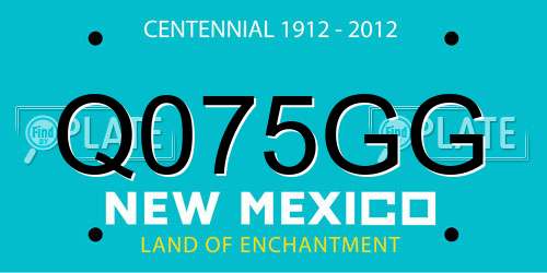 Q075GG New Mexico License Plate