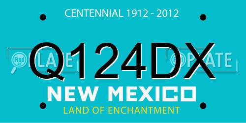 Q124DX New Mexico License Plate