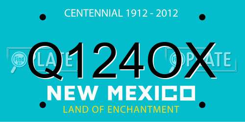 Q124OX New Mexico License Plate