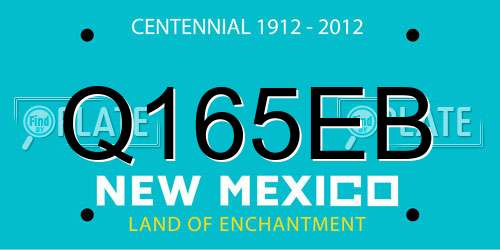 Q165EB New Mexico License Plate