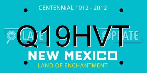 Q19HVT New Mexico License Plate