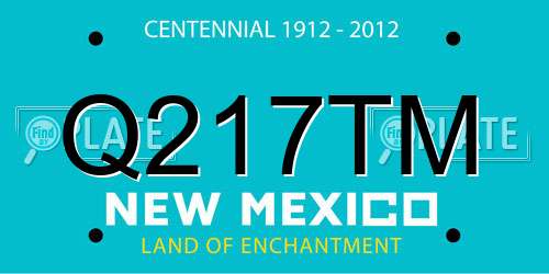 Q217TM New Mexico License Plate