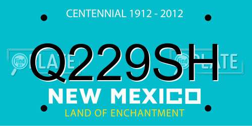 Q229SH New Mexico License Plate