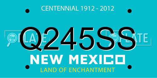 Q245SS New Mexico License Plate