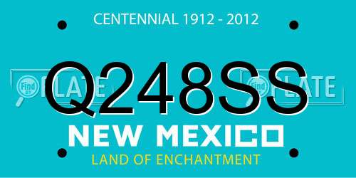 Q248SS New Mexico License Plate