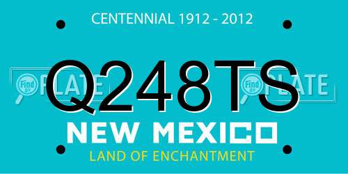 Q248TS New Mexico License Plate