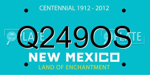 Q249OS New Mexico License Plate