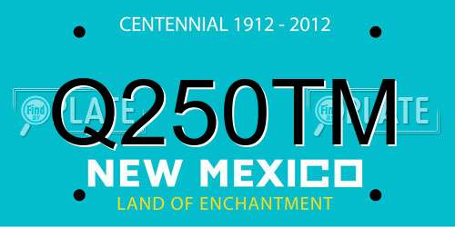 Q250TM New Mexico License Plate