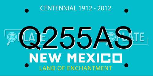 Q255AS New Mexico License Plate
