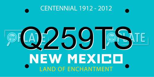 Q259TS New Mexico License Plate