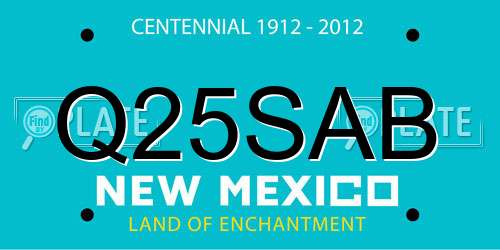 Q25SAB New Mexico License Plate
