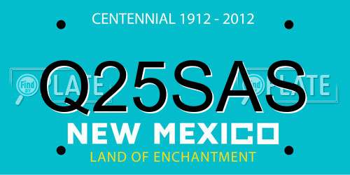 Q25SAS New Mexico License Plate