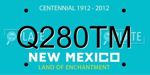 Q280TM New Mexico License Plate