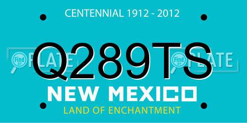 Q289TS New Mexico License Plate