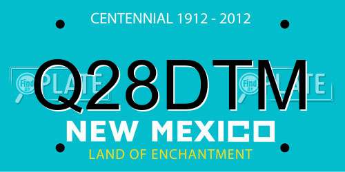 Q28DTM New Mexico License Plate