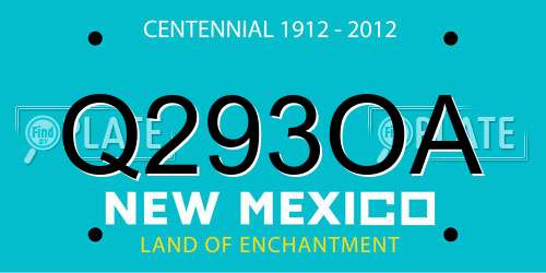 Q293OA New Mexico License Plate