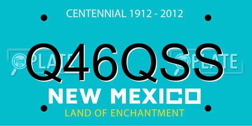 Q46QSS New Mexico License Plate