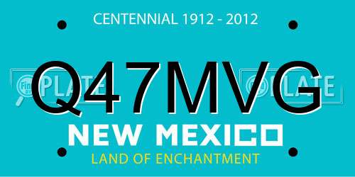 Q47MVG New Mexico License Plate