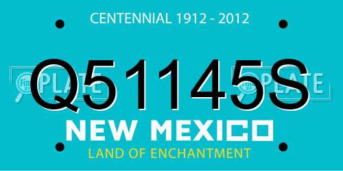 Q51145S New Mexico License Plate