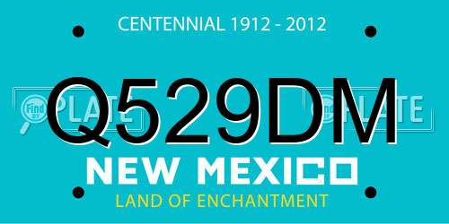 Q529DM New Mexico License Plate