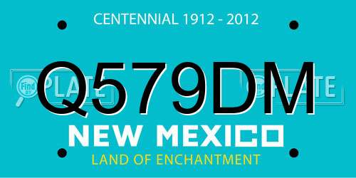 Q579DM New Mexico License Plate