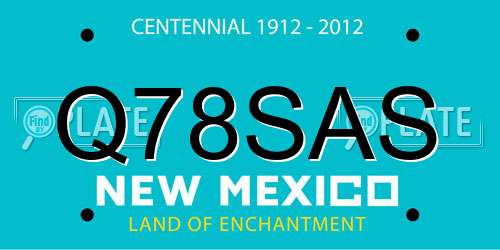 Q78SAS New Mexico License Plate