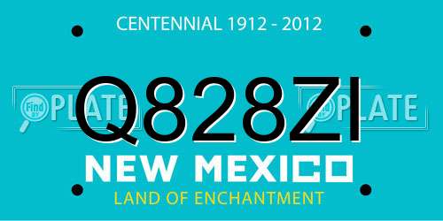 Q828ZI New Mexico License Plate
