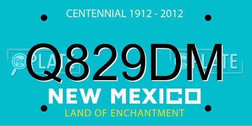 Q829DM New Mexico License Plate