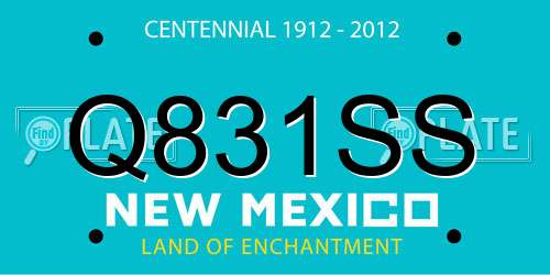Q831SS New Mexico License Plate