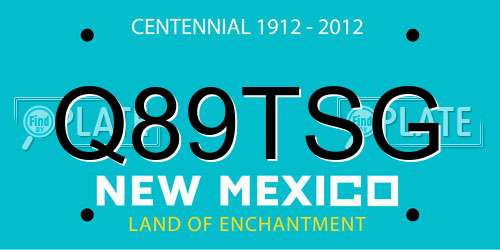 Q89TSG New Mexico License Plate
