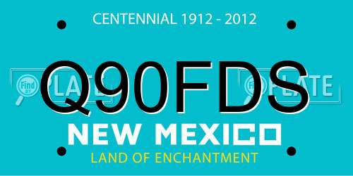 Q90FDS New Mexico License Plate