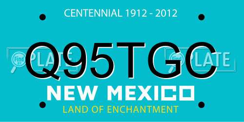 Q95TGC New Mexico License Plate