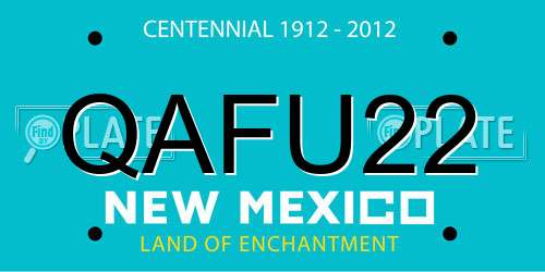 QAFU22 New Mexico License Plate