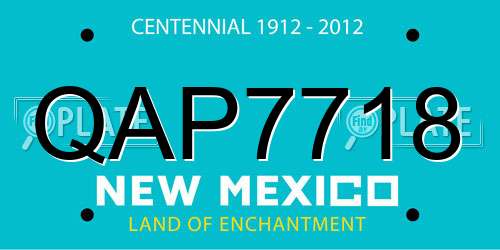 QAP7718 New Mexico License Plate