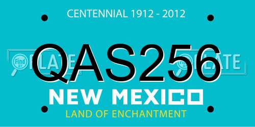 QAS256 New Mexico License Plate