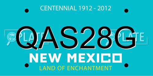 QAS28G New Mexico License Plate