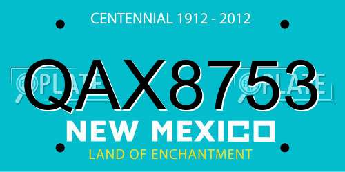 QAX8753 New Mexico License Plate