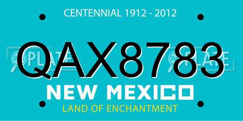 QAX8783 New Mexico License Plate