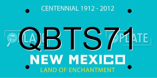 QBTS71 New Mexico License Plate