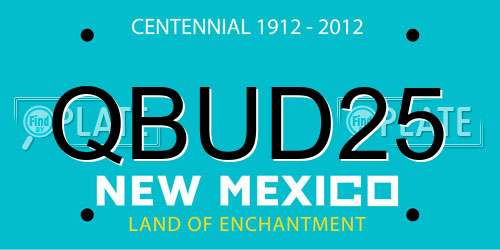QBUD25 New Mexico License Plate