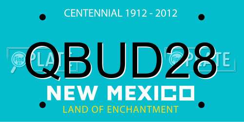 QBUD28 New Mexico License Plate