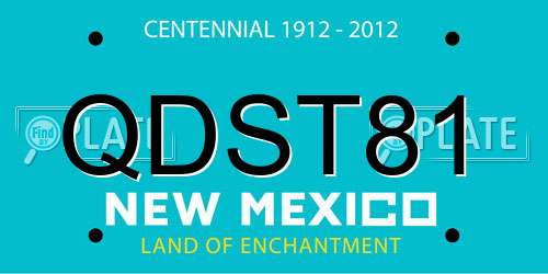 QDST81 New Mexico License Plate