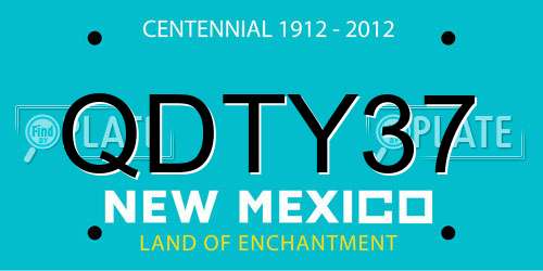 QDTY37 New Mexico License Plate