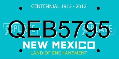 QEB5795 New Mexico License Plate