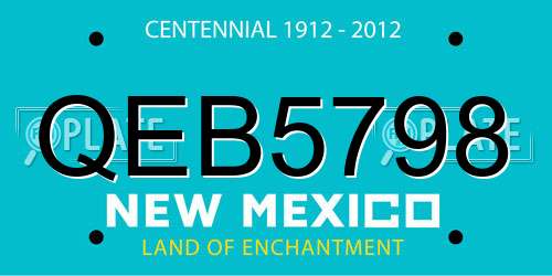QEB5798 New Mexico License Plate