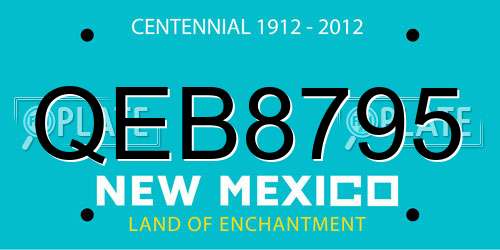 QEB8795 New Mexico License Plate