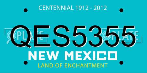 QES5355 New Mexico License Plate
